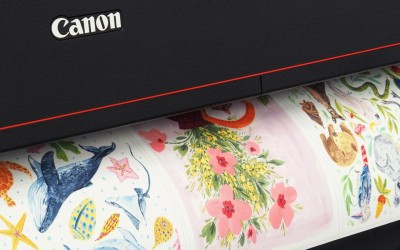 The True Colors of Quality: Why Genuine Inks Outshine Compatible Alternatives in Fine Art Printing