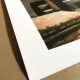 LexJet Premium Archival Matte Paper 230 GSM Printing